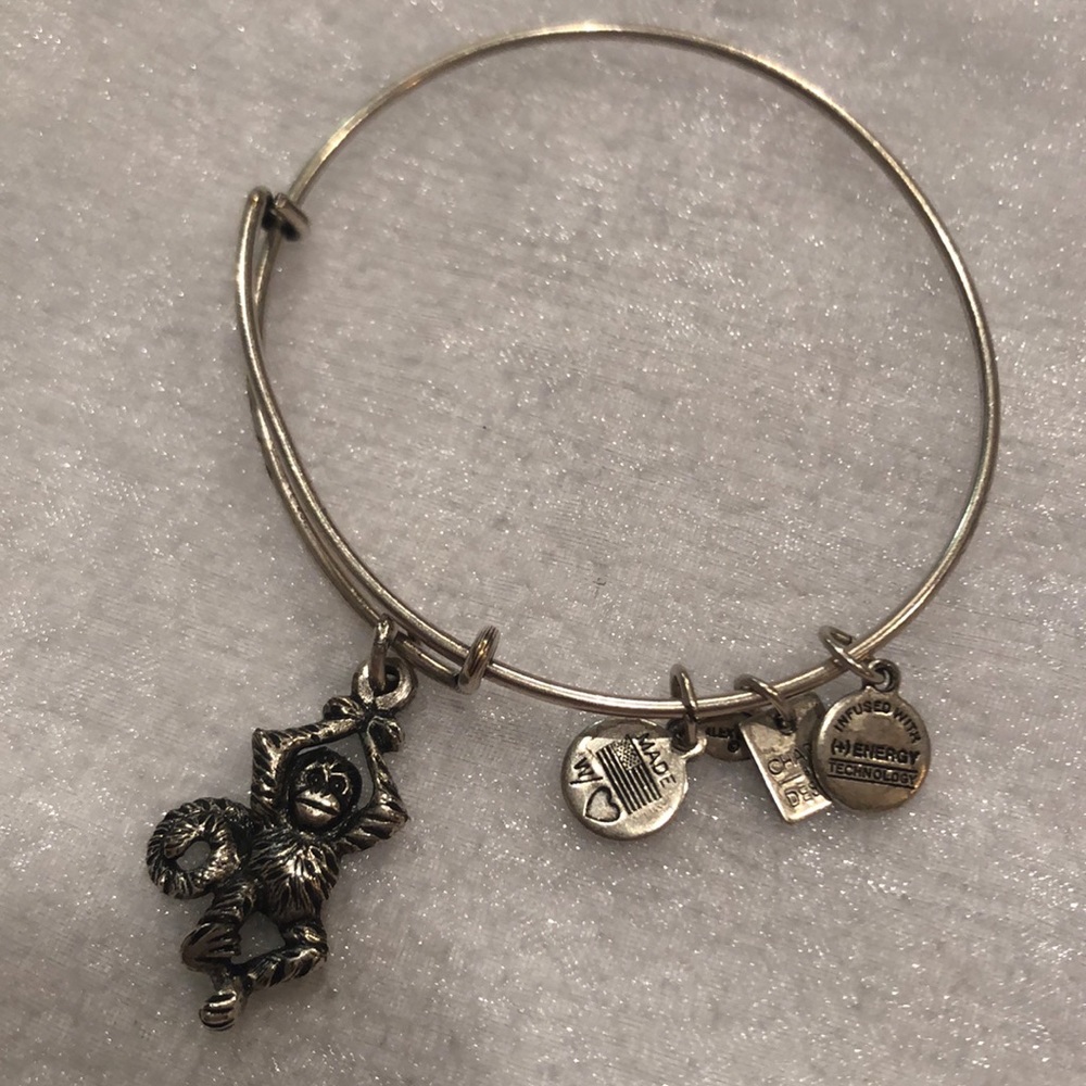 Alex and Ani Monkey Bangle 🐒